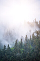 Wall Mural - misty mountain landscape