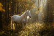 A beautiful unicorn in a magical forest in golden hour.