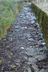 Wall Mural - A path with grass and dirt