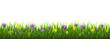 Spring Border And Grass With Flowers