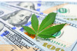 Cannabis leaf against the background of American hundred dollar bills