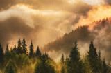 Fototapeta Na drzwi - Misty mountain landscape