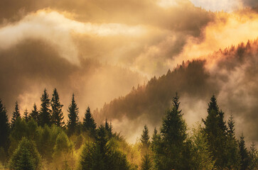 Wall Mural - misty mountain landscape