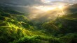 Golden sunrise over Banaue's vibrant rice terraces, reflecting light across the green tiers from above