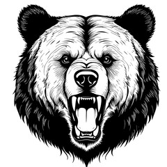 Wall Mural - Bear head wild animal silhouettes on the white background. Angry bear grizzly head, vector illustration, logo head emblem. bear logo, roaring bear