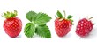 Ripe strawberries arranged neatly, perfect for food blogs or healthy eating articles