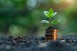 Young Plant Sprouting on Coins - Growth and Investment Concept
