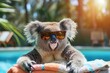 Cute koala in sunglasses relaxing at the pool.
