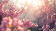 Nature's Celebration: Vibrant Cherry Blossoms in Full Bloom