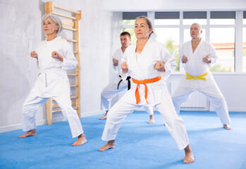 Elderly women and men in kimonos stand in a fighting stance during a group karate training session