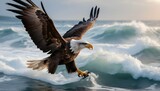 Fototapeta  - An Eagle With Its Wings Outstretched Riding The W