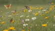 Butterflies Landing On A Field Of Wildflowers