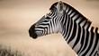 A Zebra With Its Eyes Half Closed In Contentment