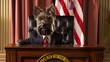 Pawsitively Presidential Detailed photographs of dogs dressed in suits or ties posing behind a miniature podium or des AI generated illustration