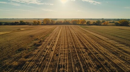 Wall Mural - Sustainable Agriculture Cinematic shots of regenerative agriculture practices such as no-till farming and cover croppi AI generated illustration