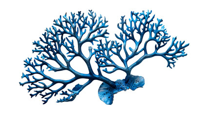 Wall Mural - Blue coral cut out
