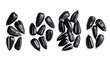 Set of delicious black sunflower seeds, cut out

