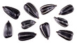 Set of delicious black sunflower seeds, cut out
