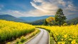 黄色い花の道