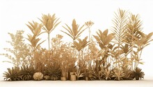 3d Rendering Of A Group Of Plants Raw For Architectrural Background Use Isolated On White