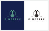 Fototapeta  - Pine Trees Forest vintage hipster line art minimalist logo design vector