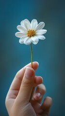 Wall Mural - A person holding a flower with their hand against blue background, AI