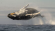 Aquatic Acrobat: A Whale's Breathtaking Breach Frozen in Time,generated by IA 