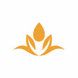 © windaart - agriculture wheat design logo icon