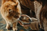 Fototapeta  - Feeding cat, close up at shiny metal bowl filled with dry cat food to an attentive ginger orange cat.
