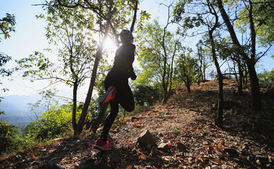 Canvas Print - Fitness asian woman running on trail at sunrise tropical forest in winter