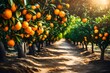 orange tree with oranges and leaves in a garden with beaytiful view of rad generated by AI