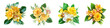 Set of yellow rose and tropical orchid flowers with green leaves floral arrangement, isolated on transparent background