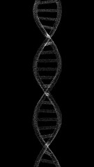 Poster - loop abstract dotted 3d dna chain molecule loop rotation vertical animation on clean black backgroun