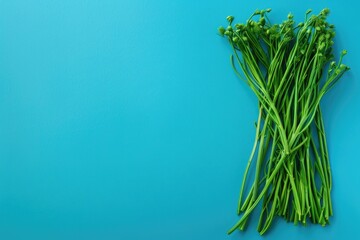 Wall Mural - Green Beans on Blue Background