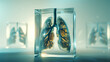 3d rendered illustration of a human lungs.