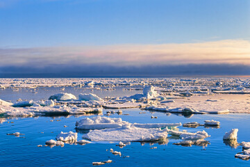 Wall Mural - Ice floes in the Arctic Ocean