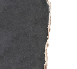 Canvas Print - Torn paper edge. Edge of cardboard texture of black color. Copy space for text. Isolated on white background