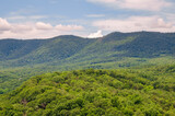 Shenandoah River Raymond R. "Andy" Guest Jr. State Park in Bentonville, Virginia