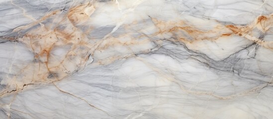 Wall Mural - A detailed shot of a marble texture resembling a landscape with veins flowing like water, roots of wood, and bedrock formations