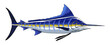 Vintage Blue Marlin Vector Illustration