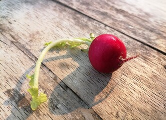 Wall Mural - Fresh red radish vegetables on wooden background.