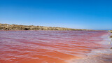 Fototapeta Miasta - Namibia's salt lakes are pink