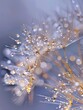 Dandelion seeds with water droplets and a sparkling light effect. Generated AI.