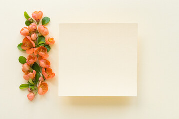 Wall Mural - Flat lay composition with orange flowers on light background. Minimal floral frame. Top view. Copy space. Happy mother's day, women's day, birthday or wedding. Empty card, mockup.