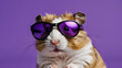 a hamster wearing sunglasses on a purple background. text space