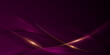 purple abstract background with luxury elements vector illustration