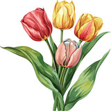 Fototapeta Tulipany - Vector Floral Fusion Captivating Flower Illustrations