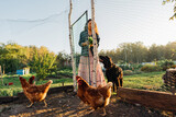 Fototapeta Zwierzęta - Red-haired woman organic farmer enters chicken coop to care and feed chickens at dawn. Joyful woman feeding free-range bird, sustainable lifestyle. Rural scene, organic farming
