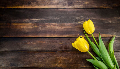 Wall Mural - yellow tulips on wooden background