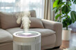 Air purifying device in a living area, eliminating fine particulate matter indoors for health protection